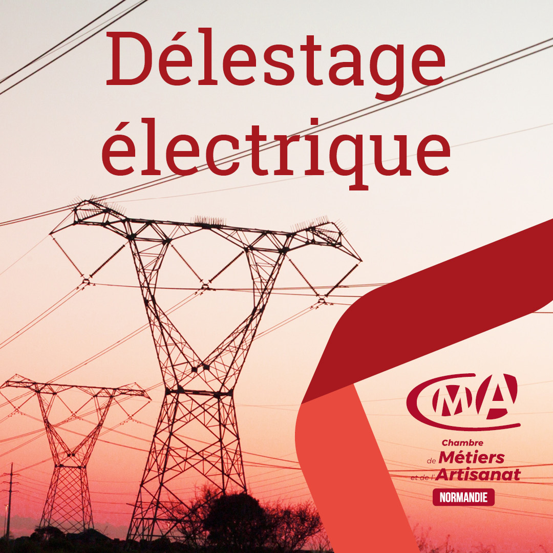 Plan national de délestage électrique