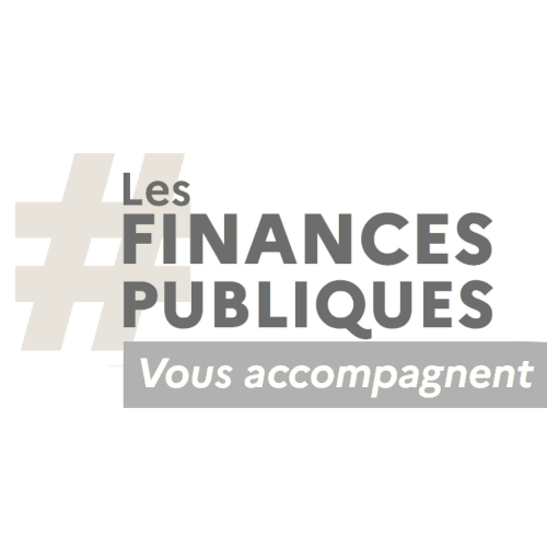 logo dgfp 2