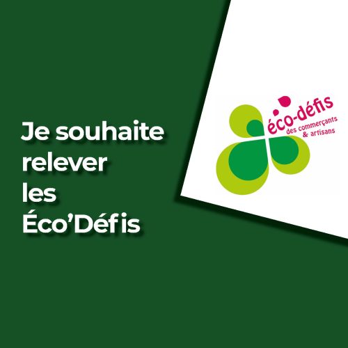 eco-defis