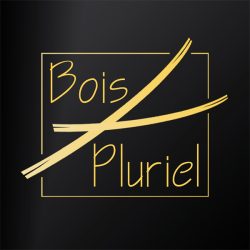 logo-v2-75mm-600