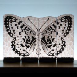 papillion