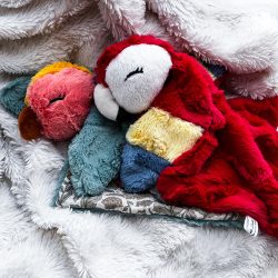 peluche b 600