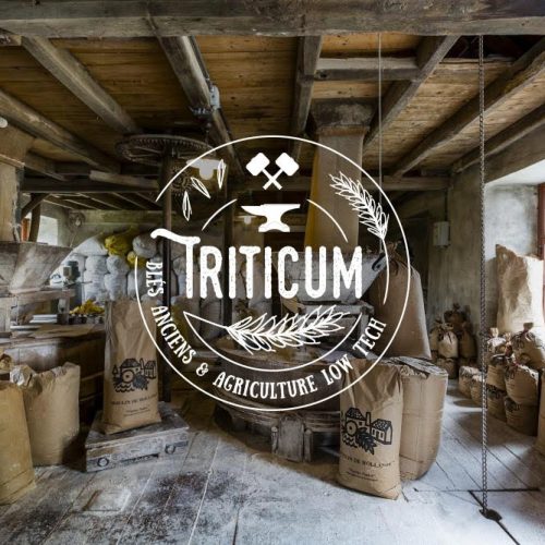 triticum-moulin-960w
